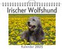 Julia Hartmann: Irischer Wolfshund, KAL