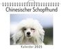 Sofia Koch: Chinesischer Schopfhund, KAL