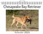 Paul Fischer: Chesapeake Bay Retriever, KAL