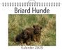 Olivia Frank: Briard Hunde, KAL