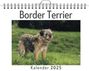 Alexander Peters: Border Terrier, KAL