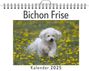 Felix Kaiser: Bichon Frise, KAL