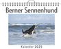 Luisa Peters: Berner Sennenhund, KAL