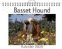 Jonas Hartmann: Basset Hound, KAL