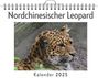 Clara Herrmann: Nordchinesischer Leopard, KAL