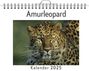 Hannah Koch: Amurleopard, KAL