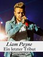 Florian Werner: Liam Payne - Ein letzter Tribut, Buch