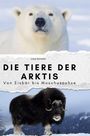 Lucy Schmitz: Die Tiere der Arktis, Buch