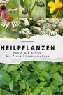 Laura Hartmann: Heilpflanzen, Buch