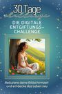 Emil Peters: Die digitale Entgiftungs-Challenge, Buch