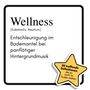 Linus Schmied: Wellness, Buch