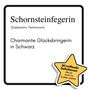 Lucy Bauer: Schornsteinfegerin, Buch