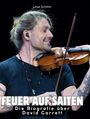 Linus Schäfer: Die Biografie über David Garrett, Buch