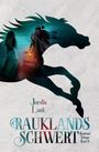 Jordis Lank: Rauklands Schwert, Buch