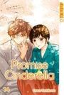 Oreco Tachibana: Promise Cinderella 14, Buch