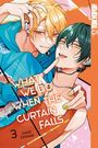 Same Zarame: What We Do When the Curtain Falls 03, Buch