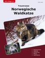 Juliane Jakob: Traumrasse Norwegische Waldkatze, Buch
