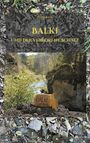 Elias Baik: Balki und der verlorene Schatz, Buch