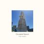 Birgit Weiglein: Occupied Spaces, Buch