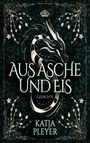 Katja Pleyer: Aus Asche und Eis, Buch