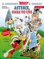 René Goscinny: Asterix Mundart Münchnerisch IV, Buch