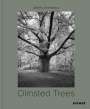 Tom Avermaete: Olmsted Trees, Buch