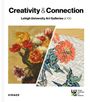 : Creativity and Connection - Lehigh University Art Galleries at 100, Buch