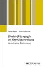 Fabian Kessl: (Sozial-)Pädagogik als Grenzbearbeitung, Buch