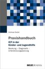 Andreas Seidel: Praxishandbuch ICF in der Kinder- und Jugendhilfe, Buch