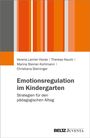 Verena Laimer-Horak: Emotionsregulation im Kindergarten, Buch