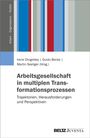 Text: "Arbeit – Organisation – Politik", Autoren und Titel des Buches. Bunte vertikale Streifen auf dem Cover.