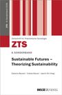 Sustainable Futures - Theorizing Sustainability, Buch
