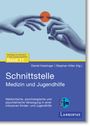 : Schnittstelle Gesundheitswesen und Kinder- und Jugendhilfe, Buch