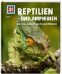 Alexandra Rigos: WAS IST WAS Band 20. Reptilien und Amphibien. Gecko, Grasfrosch und Waran, Buch