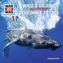 Manfred Baur: Was ist was Folge 13: Wale & Delfine/ Geheimnisse der Tiefsee, CD