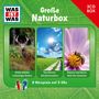 : WAS IST WAS Hörspielbox Vol. 15 - Große Naturbox (3CDs), CD,CD,CD