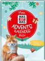 Andrea Weller-Essers: Mein WAS IST WAS Adventskalenderbuch 3, Buch