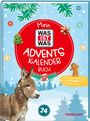 Anke Dörrzapf: Mein WAS IST WAS Adventskalenderbuch 4, Buch