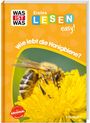 Sonja Meierjürgen: WAS IST WAS Erstes Lesen easy! Wie lebt die Honigbiene?, Buch