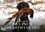 : Deutsch Drahthaar 2026, KAL
