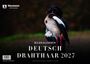 "Bildkalender Deutsch Drahthaar 2027", Schriftzug über einem Hund, der eine Ente im Maul trägt. Links oben Neumann-Logo.