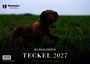 Text: "Bildkalender Teckel 2027", "Neumann Neudamm". Hund im Gras. Links oben ein Logo mit einem Hirschkopf und einem Baum.