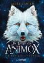 Aimée Carter: Die Erben der Animox 1. Die Beute des Fuchses, Buch