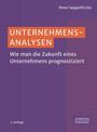 Peter Seppelfricke: Unternehmensanalysen, Buch