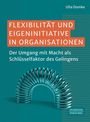 Ulla Domke: Flexibilität und Eigeninitiative in Organisationen, Buch