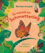 Sara Forster: Aus klein wird groß. So wächst ein Schmetterling, Buch