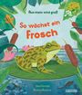Sara Forster: Aus klein wird groß. So wächst ein Frosch, Buch