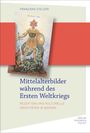 Franziska Stelzer: Mittelalterbilder während des Ersten Weltkriegs, Buch
