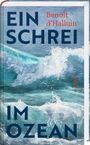 Benoit d`Halluin: Ein Schrei im Ozean, Buch