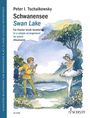 Peter Iljitsch Tschaikowsky: Schwanensee, Buch